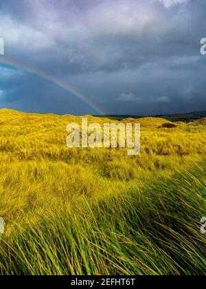 Sanddünen hinter dem Strand bei Morfa Dyffryn zwischen Barmouth und Harlech in Gwynedd an der Nordwestküste von Wales mit stürmischem Himmel und Regenbogen darüber. Stockfoto