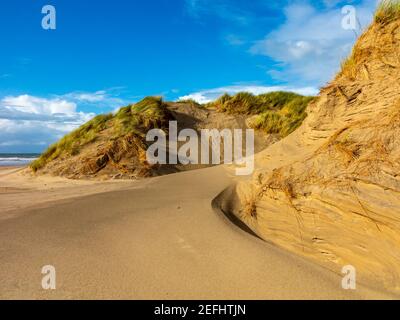 Sanddünen am Strand von Morfa Dyffryn zwischen Barmouth und Harlech in Gwynedd an der Nordwestküste von Wales mit blauem Himmel und Wolken darüber. Stockfoto