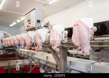 Rohes Fleisch schneidet auf einem industriellen Förderband.Fleischverarbeitung in der Lebensmittelindustrie.Förderband Food.automatisierte Produktionslinie in der modernen Lebensmittelfabrik. Stockfoto