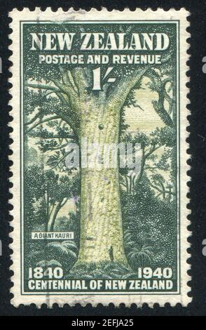 NEUSEELAND - UM 1940: Briefmarke gedruckt von Neuseeland, zeigt Giant Kauri, um 1940 Stockfoto