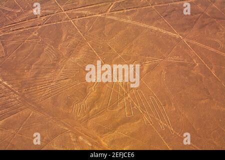 Hochwinkelansicht von Nazca Lines, Nazca, Peru Stockfoto