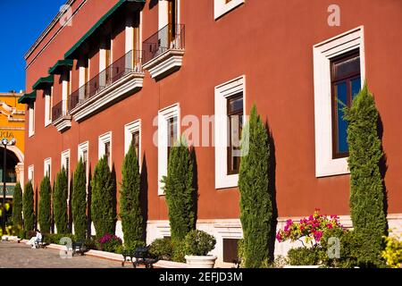 Bäume vor einem Regierungsgebäude, Palacio De Gobierno, Aguascalientes, Mexiko Stockfoto