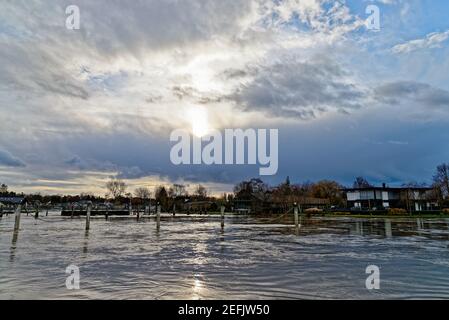 Die Themse in voller Flut nach starken Regenfällen, Shepperton Lock Surrey England UK Stockfoto