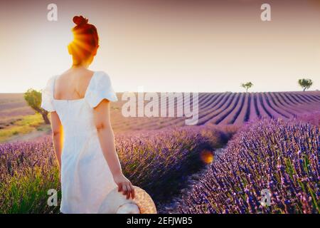 Junge Frau mit Haarbrötchen und weißem Kleid genießen die Natur und den Sommer in einem Lavendelfeld in Valensole, Frankreich, bei Sonnenuntergang Stockfoto