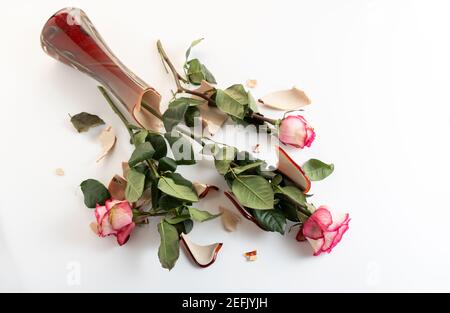 Zerbrochene Rosen in einer zerbrochenen Vase. Zerbrochene Blumen auf dem Boden. Zerbrochene Vase auf dem Boden. Oben. Stockfoto