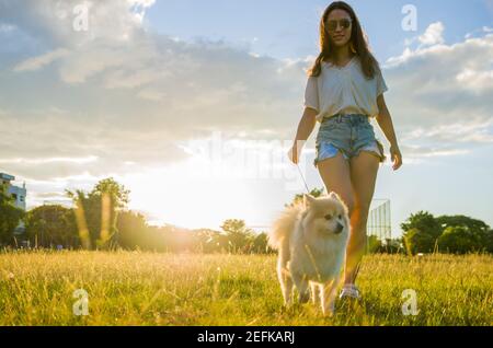 Oung schöne Frau spielt mit deutschen Spitz Hund in der Sommerpark Stockfoto