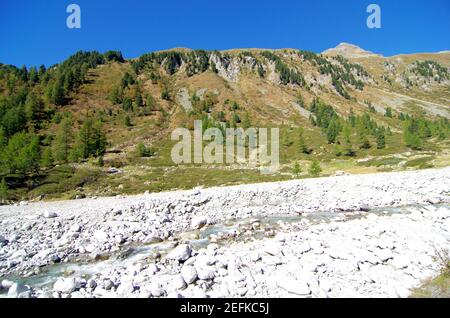 Frisches Wasser aus dem Bach steigt zwischen den Felsen und Steine aus den hohen Bergwiesen Stockfoto