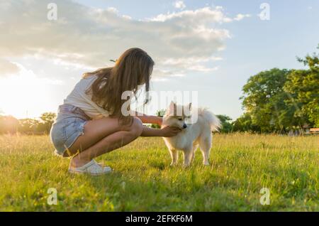Oung schöne Frau spielt mit deutschen Spitz Hund in der Sommerpark Stockfoto