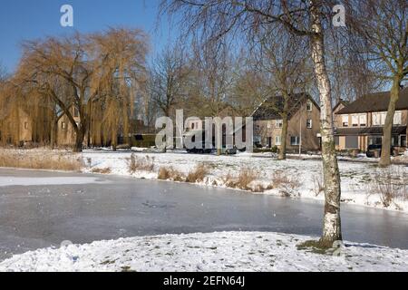 Winterlandschaft mit Birke in Kanalnähe im niederländischen Wohngebiet Stockfoto