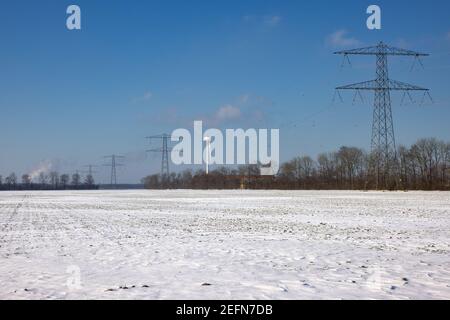 Holländische landwirtschaftliche Landschaft bedeckt mit Schnee im Winter Stockfoto