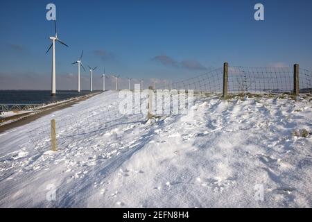 Reihen Sie Offshore-Windturbinen entlang Ductch Küste im Winter mit Schnee Stockfoto