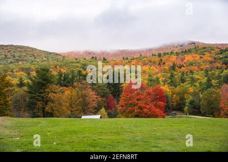 Berg bedeckt in dichtem Laubwald am bewölkten Herbsttag. Die Spitze des Berges ist von niedrigen Wolken umhüllt. Atemberaubende Herbstfarben. Stockfoto