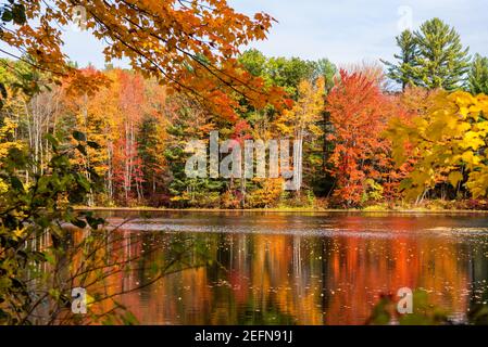 Atemberaubende Herbstfarben entlang eines Flusses an einem sonnigen Morgen. Stockfoto