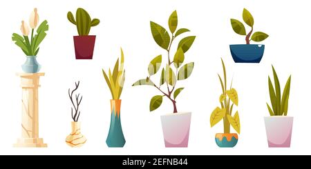 Pflanzen in Töpfen und Vasen für Haus oder Büro-Interieur isoliert auf weißem Hintergrund. Vektor Cartoon Set von grünen Topfpflanzen, Bäume und Blumen. Home Garten mit Ficus, Kaktus und Calla Stock Vektor
