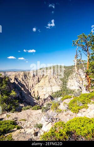 Blick von der Hells Backbone Road, in der Nähe von Escalante und Boulder, Garfield County, Utah, USA, an einem schönen Sommertag. Stockfoto