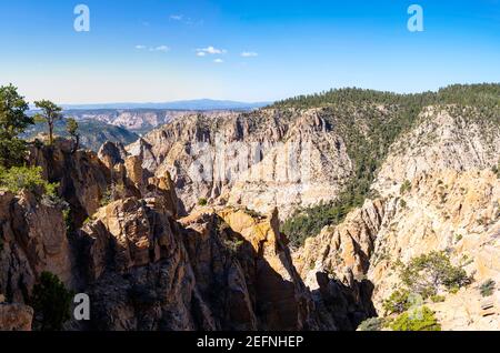 Blick von der Hells Backbone Road, in der Nähe von Escalante und Boulder, Garfield County, Utah, USA, an einem schönen Sommertag. Stockfoto