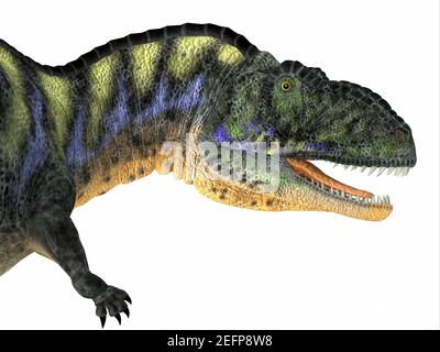 Aucasaurus war ein fleischfressender Theropod-Dinosaurier, der während der Kreidezeit in Argentinien lebte. Stockfoto