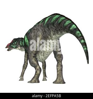 Maiasaura war ein pflanzenfressender Hadrosaur-Dinosaurier, der während der Kreidezeit in Montana lebte. Stockfoto