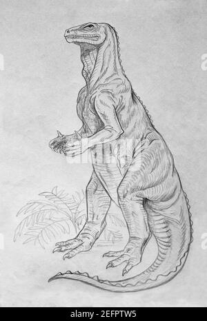 Bleistiftzeichnung des Dinosauriers iguanodon Stockfoto