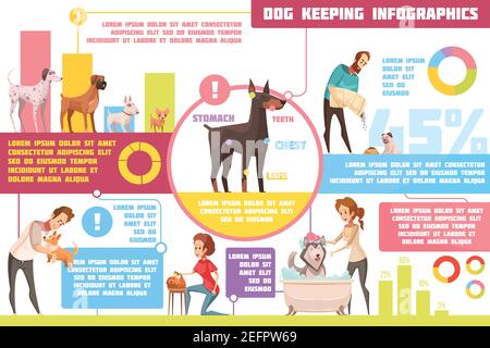 Haustier Hunde Fütterung Erziehung Ausbildung praktische Tipps mit Tierarzt Beratung Retro Cartoon Infografik Poster abstrakte Vektor Illustration Stock Vektor