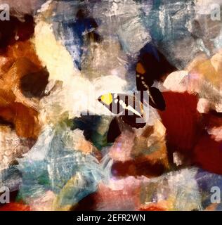 Schmetterling auf gedämpfter abstrakter Malerei. 3D Rendern Stockfoto