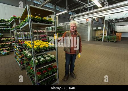 Markt für Blumen und Pflanzen in Bremen, Deutschland Stockfoto