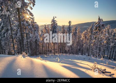 Sonnenuntergang von der Spitze des Berges in Karpaten. Landschaft mit Winterwald und viel Schnee. Glühender Himmel in der goldenen Stunde in Beskid Stockfoto