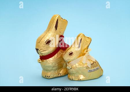 London, UK - 15. Februar 2021: Zwei Lindt Gold Osterhasen mit ihren goldenen Glocken auf hellblauem Hintergrund. Die eine ist Milchschokolade und die andere Stockfoto