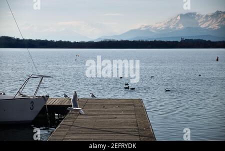 Vögel fliegen in der Nähe der Pier in einem alpinen See Stockfoto