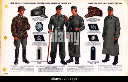 ONI JAN 1 Uniformen und Insignien Seite 043 Bundeswehr Waffen-SS WW2 Dienstkleidung. NCOs, EM. Camouflage, Gebirgsjäger, Panzer, Mantel, etc. Jan. 1944 Field Recognition. Stockfoto