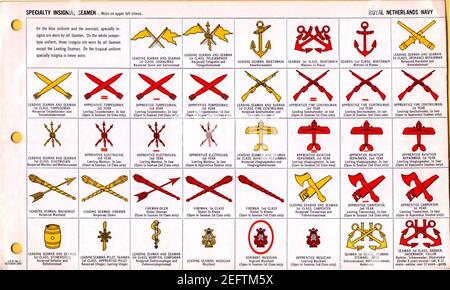 ONI JAN 1 Uniformen und Abzeichen Seite 101 Royal Netherlands Navy WW2 Spezialabzeichen Seemänner Oktober 1943 Anerkennung vor Ort. ÖFFENTLICHE Dok. Stockfoto