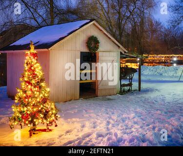 Schuppen mit einem beleuchteten Weihnachtsbaum, Red Mill Museum Village, Clinton, Hunterdon County, New Jersey Stockfoto