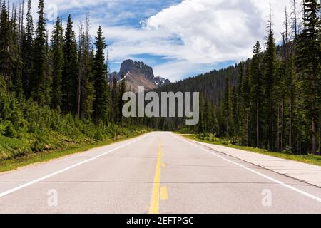 Auf dem Cache la Poudre Scenic Byway auf dem 10.276 Fuß (3.132 Meter) Cameron Pass kann man die markanten Nokhu Crags sehen. Stockfoto