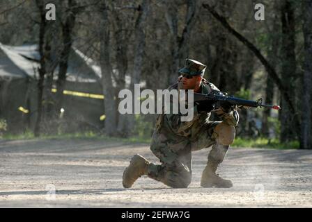 Operation Bearing Duel 2010 Stockfoto