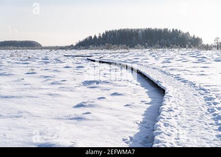 Ökologischer Wanderweg im Nationalpark durch gefrorenen Torf Moorsumpf im Winter an sonnigen Tagen Stockfoto