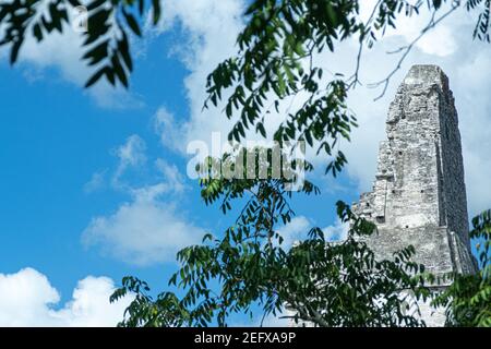 Tempel 1 in den Maya-Ruinen von Tikal, EIN UNESCO-Weltkulturerbe in Peten, Guatemala Stockfoto