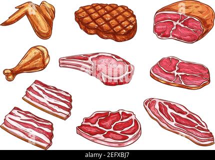 Fleisch- und Feinkost-Skizzen mit Farbsymbolen. Vector isolierte Set von Beefsteak Grill oder bbq Schweinefleisch brisket und Huhn Bein oder Flügel, Gourmet-Rindfleisch Fi Stock Vektor