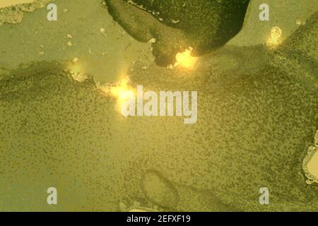 Olivgrünes Marmormuster mit goldenem Staub. Abstrakter Vektor-Hintergrund in Alkoholtinte Technik. Moderne Farbe mit Glitzer. Vorlage für Banner, Post Stock Vektor