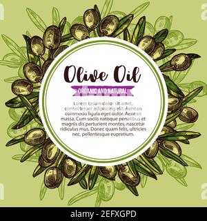 Olivenöl rund Etikett mit grünen olivgrünen Kranz Skizze. Zweig der Olivenbaum Rahmen mit reifen Früchten, grünes Blatt und kopieren Raum in der Mitte für extra Virgin Stock Vektor