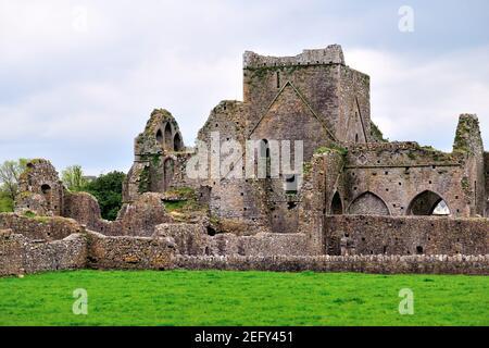 Cashel, County Tipperary, Irland Abbey in der irischen Landschaft. Die Abtei ist die Ruine einer Zisterzienserstiftung aus dem 13th. Jahrhundert aus dem Jahr 1272. Stockfoto