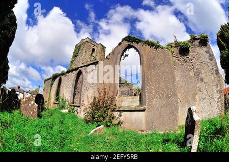 Delvin, County Westmeath, Irland. Die Überreste der Kirche und der Kirchenhof bilden die Ruinen der Marienkirche, Stockfoto