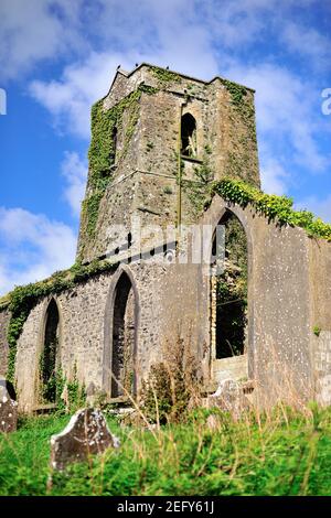 Delvin, County Westmeath, Irland. Ein Turm und Bogenfenster zusammen mit einem überwucherten Kirchenhof bilden die Ruinen der St. Mary's Church. Stockfoto