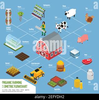 Hydroponics isometrisches Flussdiagramm mit Pflanzen Bewässerung und Landwirtschaft Symbole Vektor Abbildung Stock Vektor