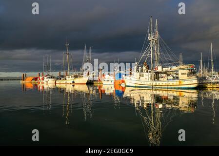 Fischerboote, Fraser River, Steveston, Richmond, British Columbia, Kanada Stockfoto