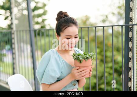 Home Aktivität für schöne junge Frau, die morgens einen Bonsai in den Händen auf dem Balkon hält. Stockfoto