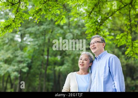 Porträt eines glücklichen alten Paares im Park nach oben schauen