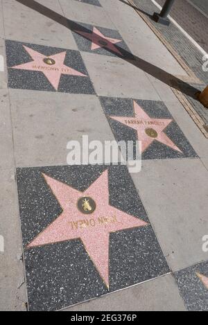 Hollywood, California, USA 17th. Februar 2021 EIN allgemeiner Blick auf die Atmosphäre der Schauspielerin Ali MacGraw Star, Schauspielerin Farrah Fawcett Star und Schauspieler Ryan O'Neal Star auf dem Hollywood Walk of Fame am 17. Februar 2021 in Hollywood, Kalifornien, USA. Foto von Barry King/Alamy Stockfoto Stockfoto