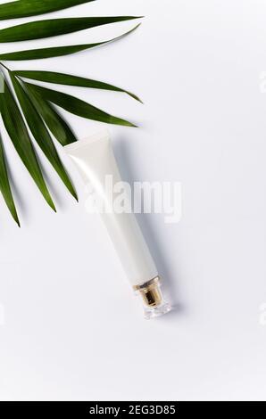 Das kosmetische Produkt für die Augenpflege liegt auf weißem Hintergrund. In der Nähe ist ein Palmblatt, ein flaches Layout, ein vertikales Bild, ein Ort für Text Stockfoto