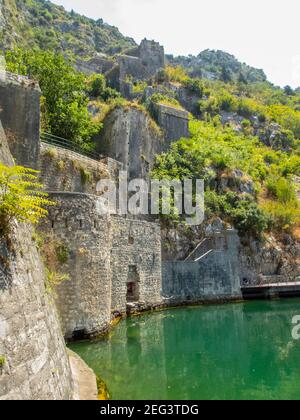 Kator Котор Kotor ist eine Küstenstadt in Montenegro. Golf von Kotor. Foto Phil Wilkinson / Alamy Stockfoto