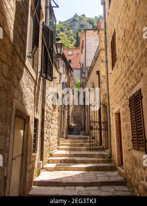 Kator Котор Kotor ist eine Küstenstadt in Montenegro. Golf von Kotor. Foto Phil Wilkinson / Alamy Stockfoto